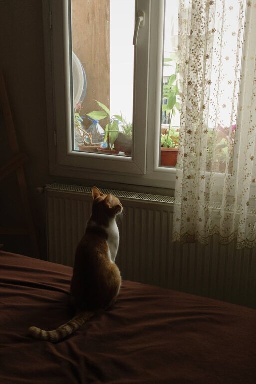 How to Plan a Restful Day Off at Home for Maximum Relaxation